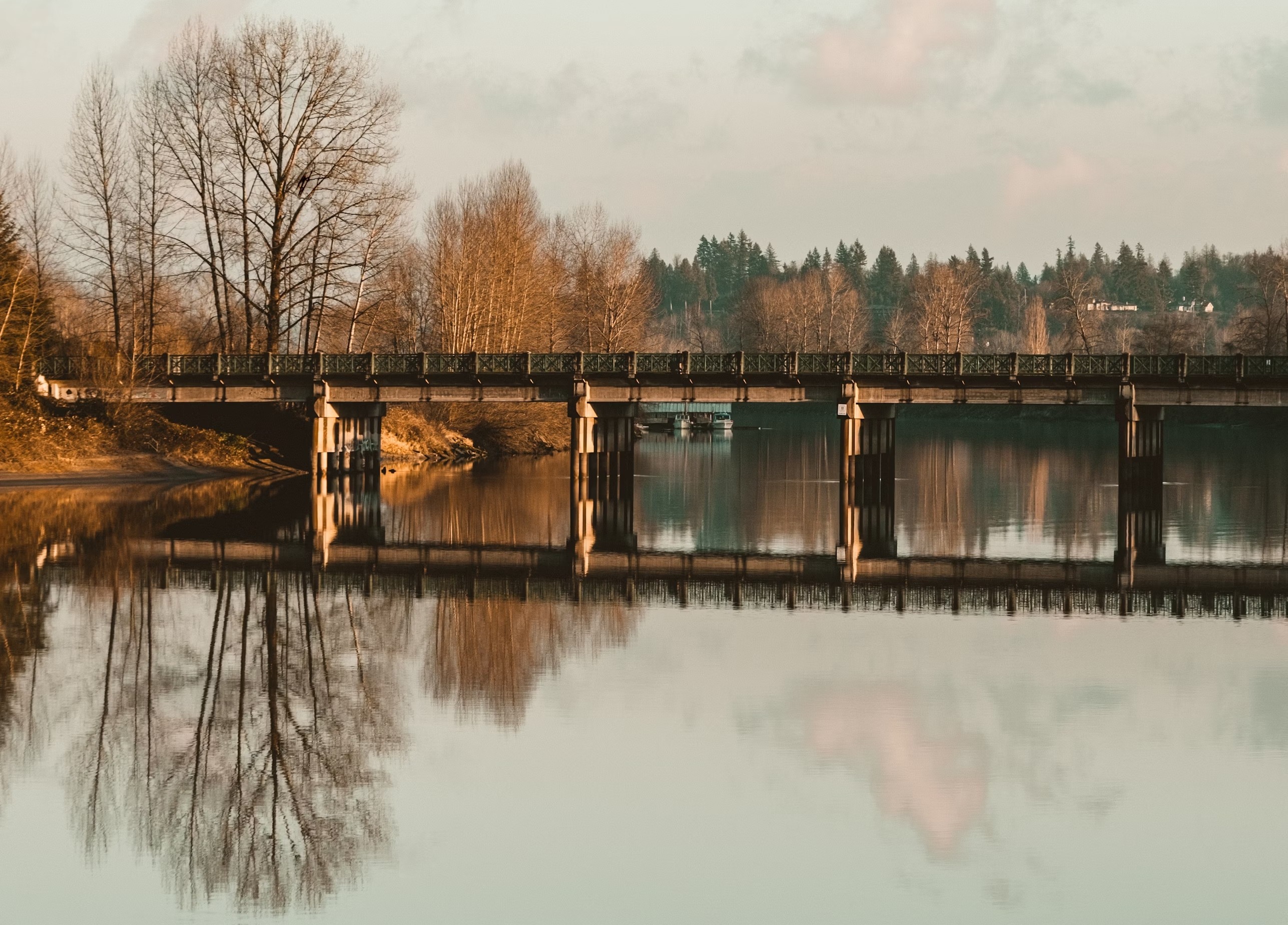 Responsive image